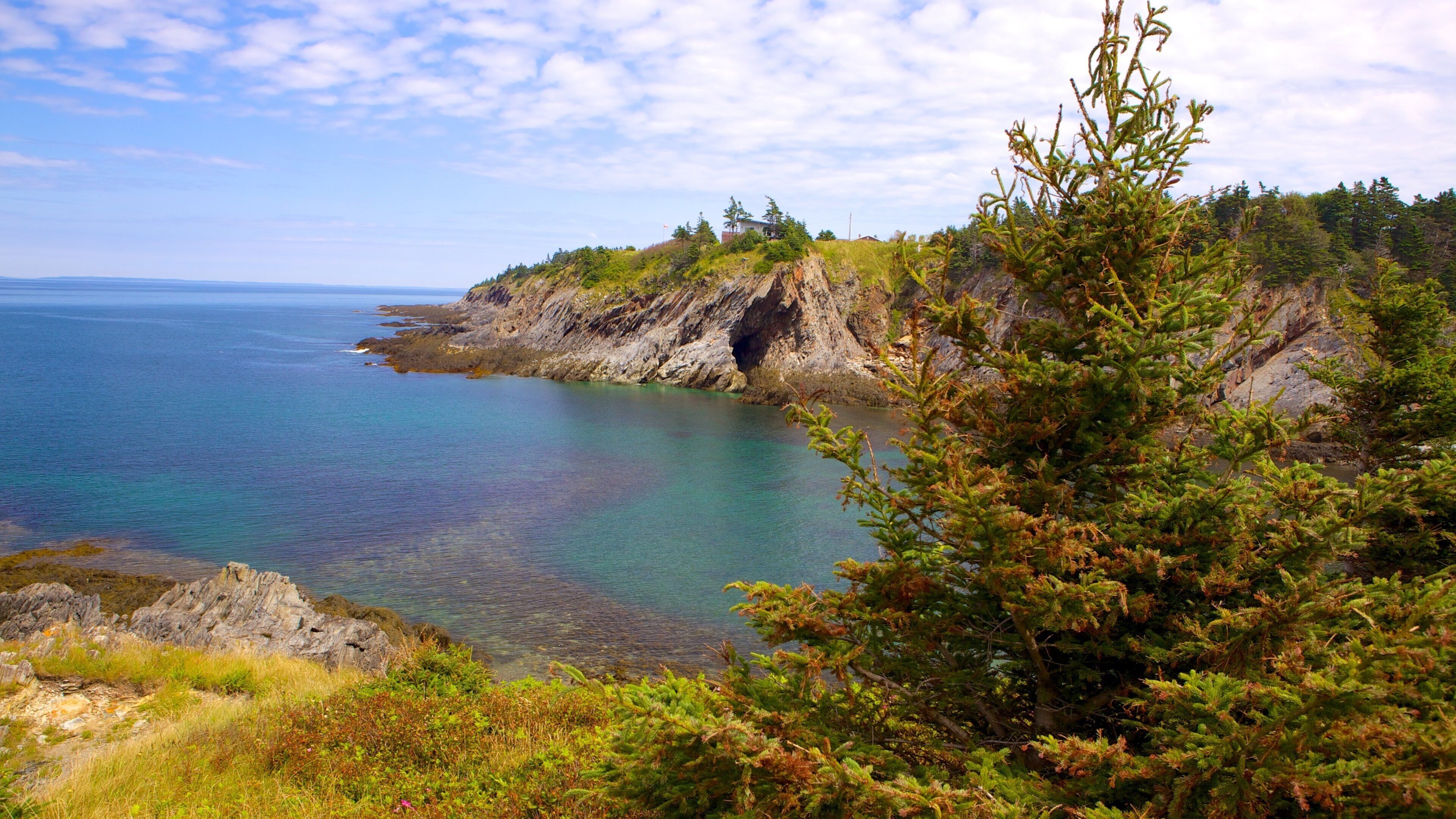 Smuggler\'s Cove bevat rotsachtige kustlijn