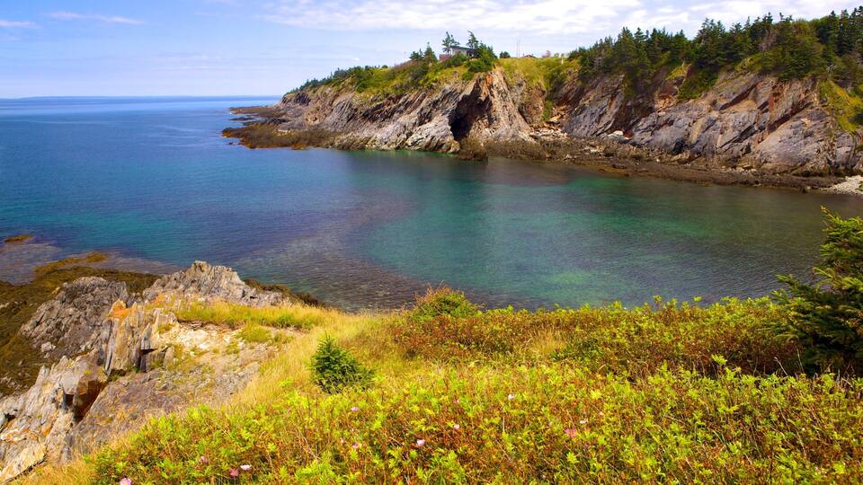 A coastal landscape with rocky cliffs, clear turquoise waters, and lush greenery.