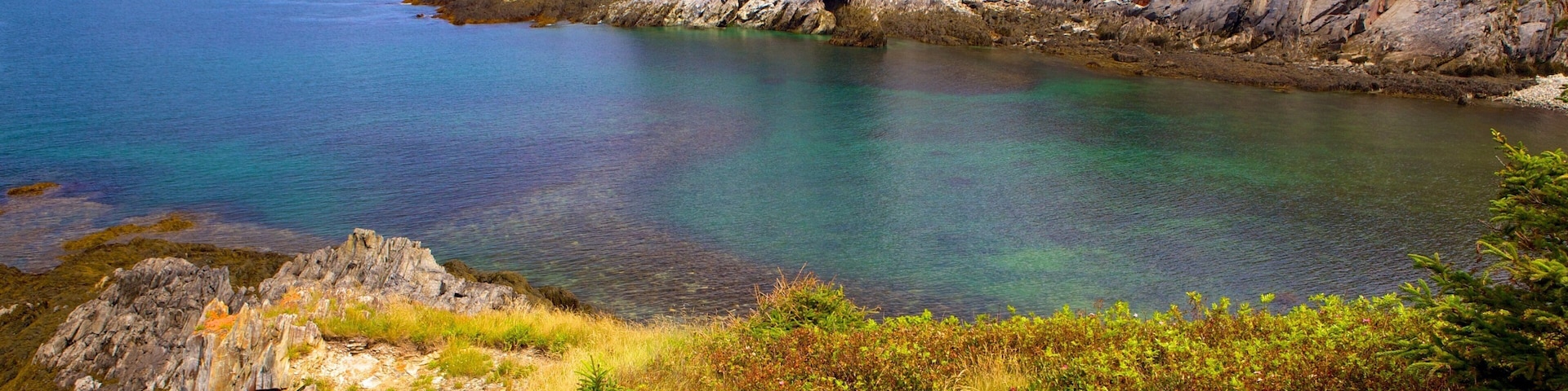 Smuggler\'s Cove showing rocky coastline