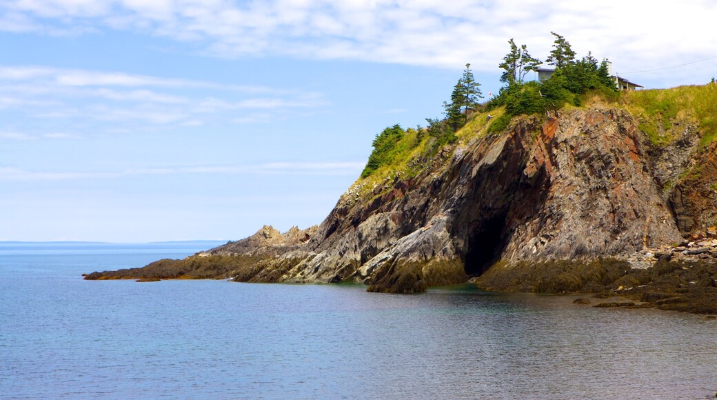 Smuggler\'s Cove showing rocky coastline