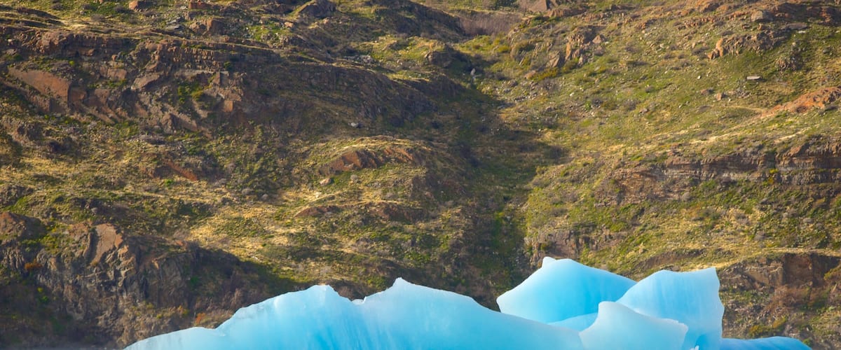 ํ ๋ ์ค ๋ธ ํ์ด๋ค