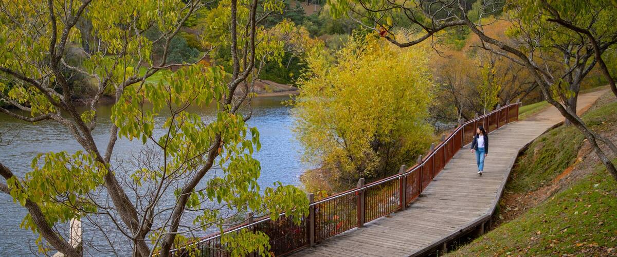 Mount Lofty Botanic Garden which includes a river or creek and a garden as well as an individual femail
