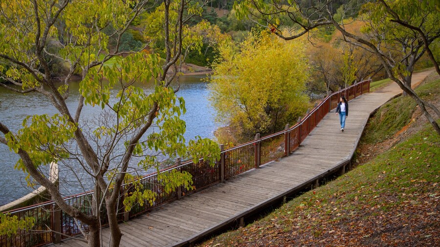 Mount Lofty Botanic Garden which includes a river or creek and a garden as well as an individual femail