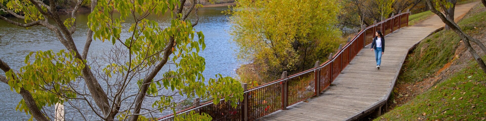 Mount Lofty Botanic Garden which includes a river or creek and a garden as well as an individual femail