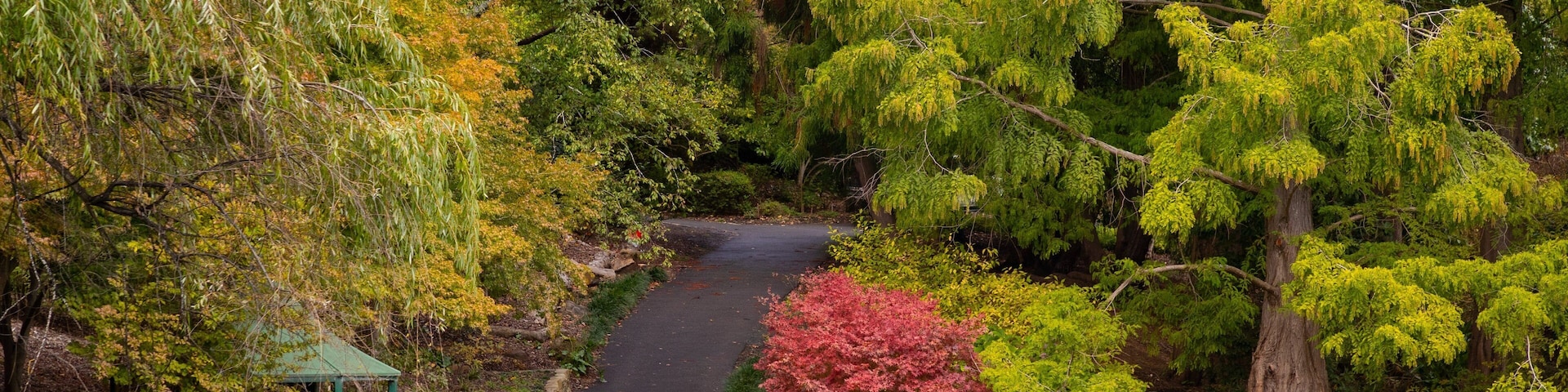 Mount Lofty Botanic Garden which includes a park as well as a couple