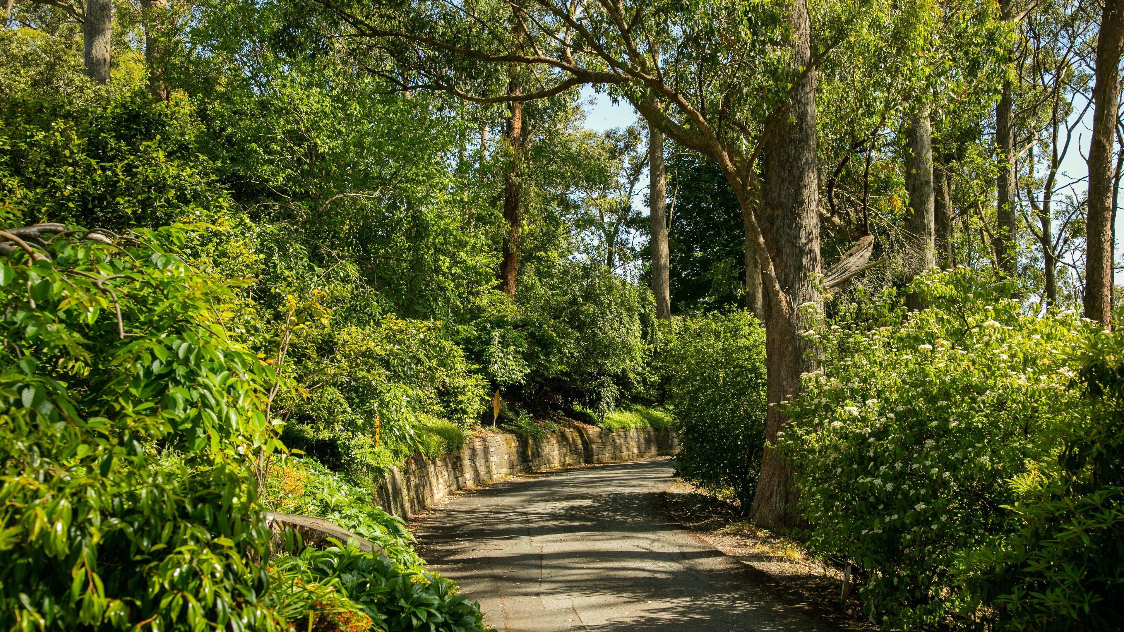 Mount Lofty Botanic Garden featuring a park