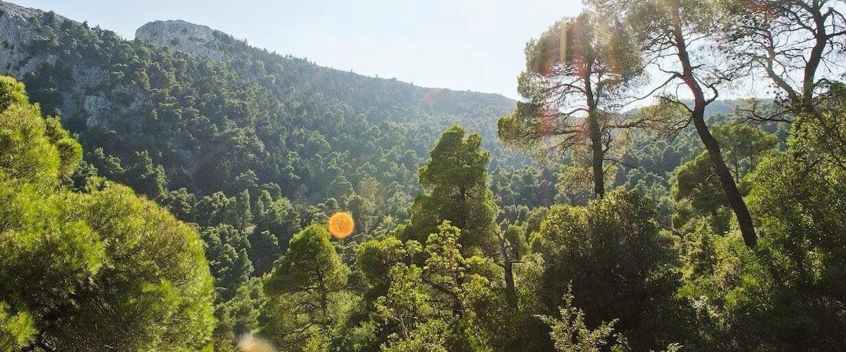Hiking at Parnitha mountain