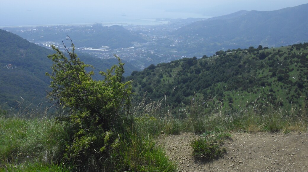 Passeggiata sui forti