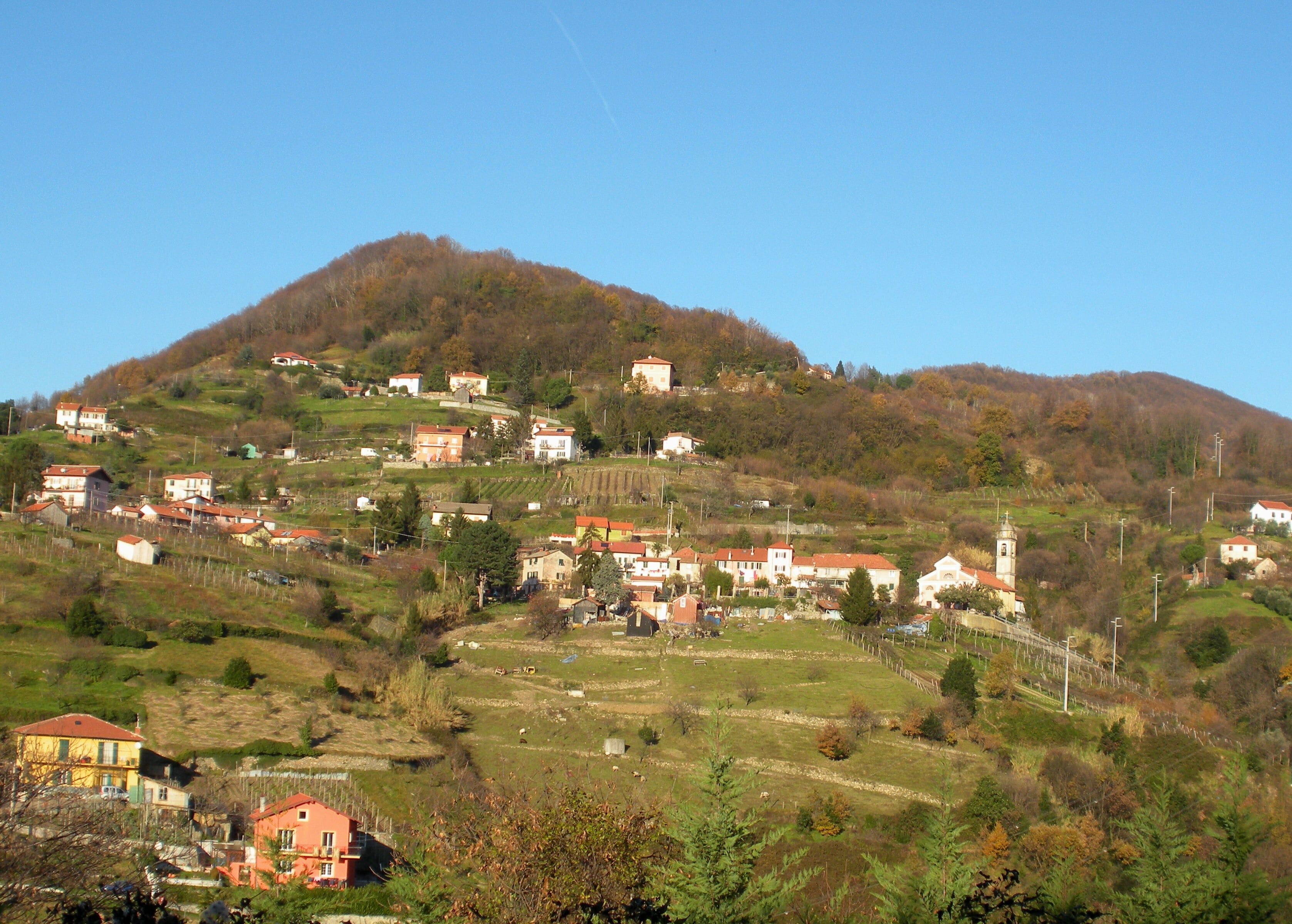 A hillside village with houses, a church, and vineyards.