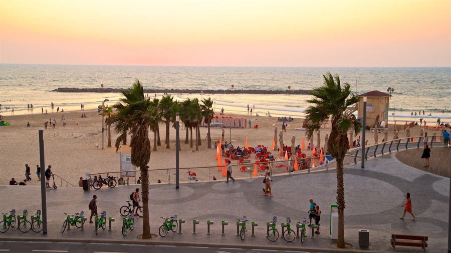 A beach with palm trees, people, and bicycles.