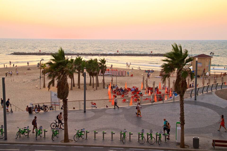 A beach with palm trees, people, and bicycles.