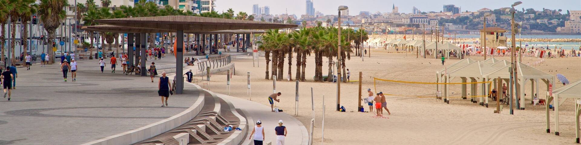 Bugrashov Beach presenterar en stad, en kuststad och kustutsikter