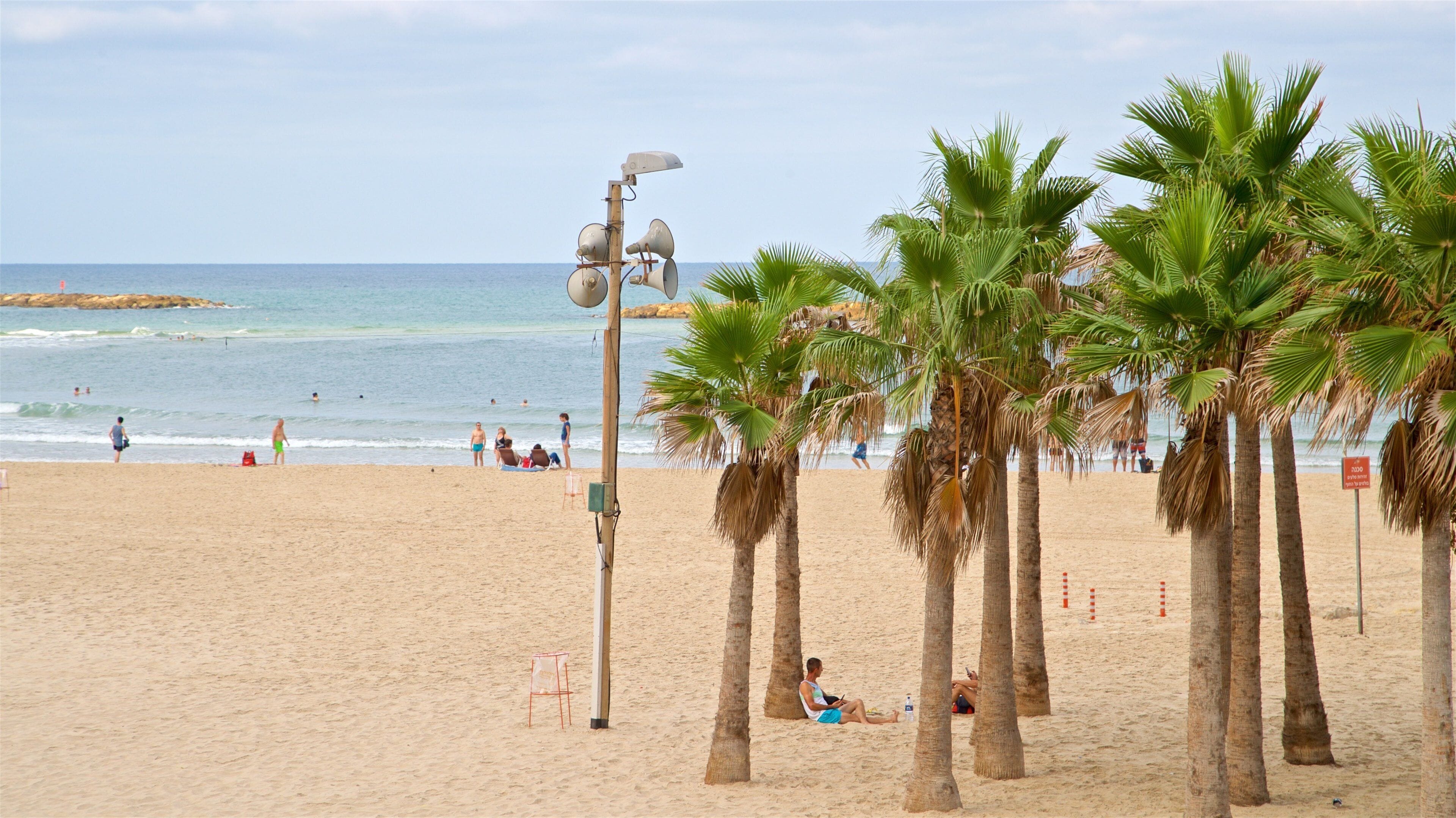 Bugrashov Beach som viser kyst og sandstrand