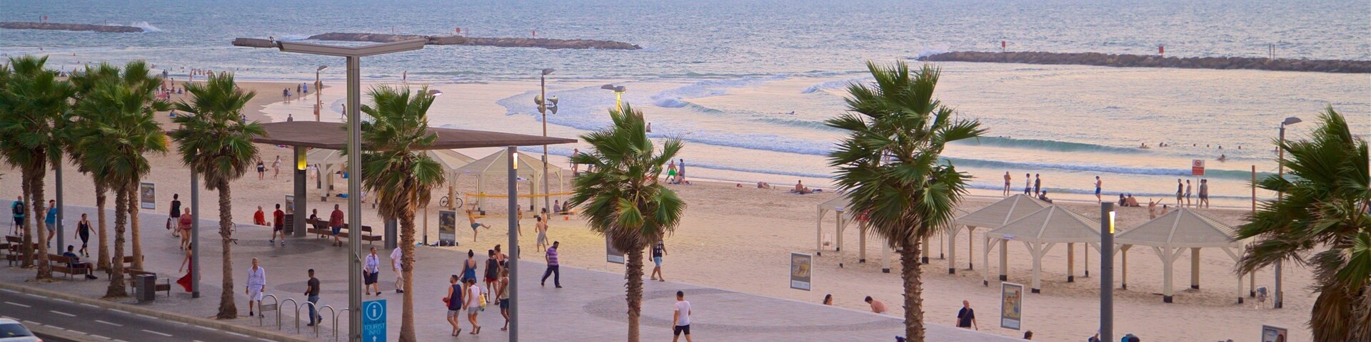 A beach with palm trees, a road, and people walking.