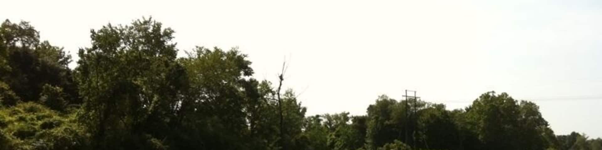 The Bogue Chitto River - this is at the canoe and tubing put-in area, usually a more secluded beach, especially on weekdays.