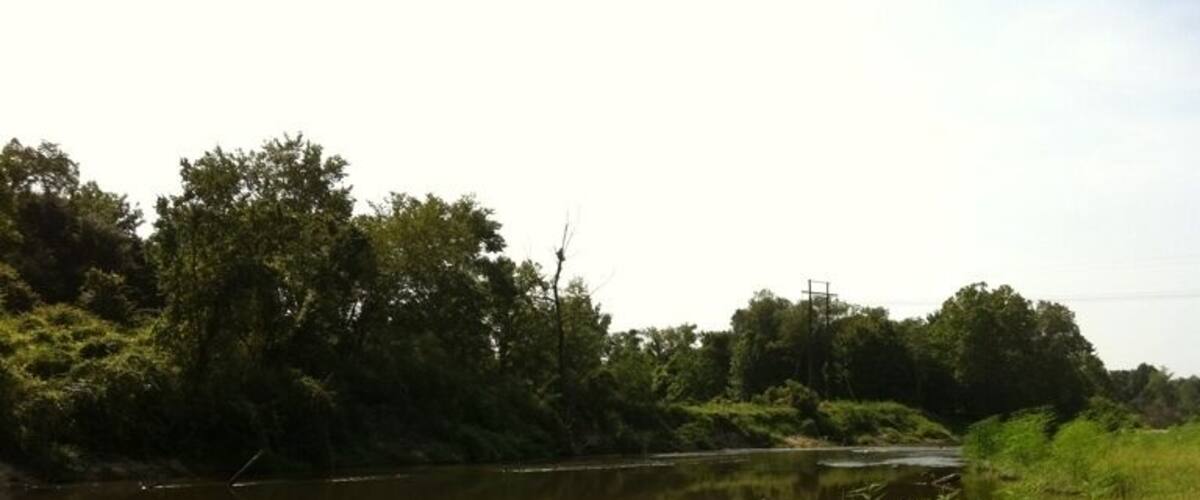 A river with dense vegetation and trees along the banks.