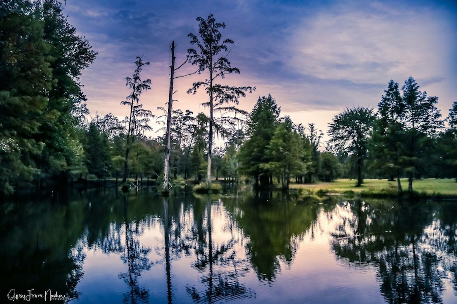 Took this reflection on Powell Lake at my Family’s farm in Louisiana . The rain had just stopped and the sun tried to show through but dusk arrived. Still fall evening in October.