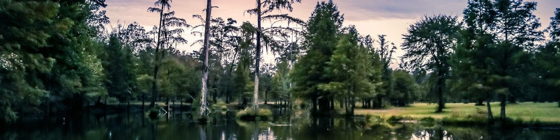 Took this reflection on Powell Lake at my Family’s farm in Louisiana . The rain had just stopped and the sun tried to show through but dusk arrived. Still fall evening in October.