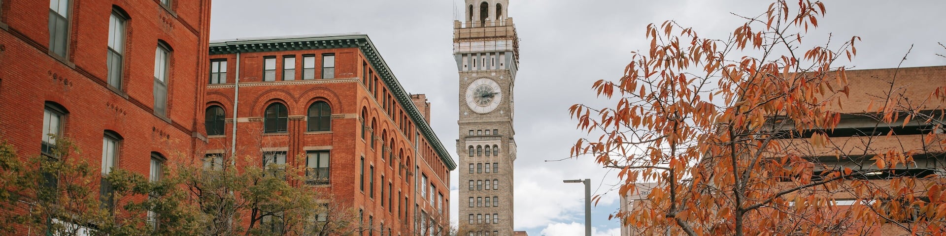 Bromo Seltzer Arts Tower showing a high rise building, heritage architecture and a city
