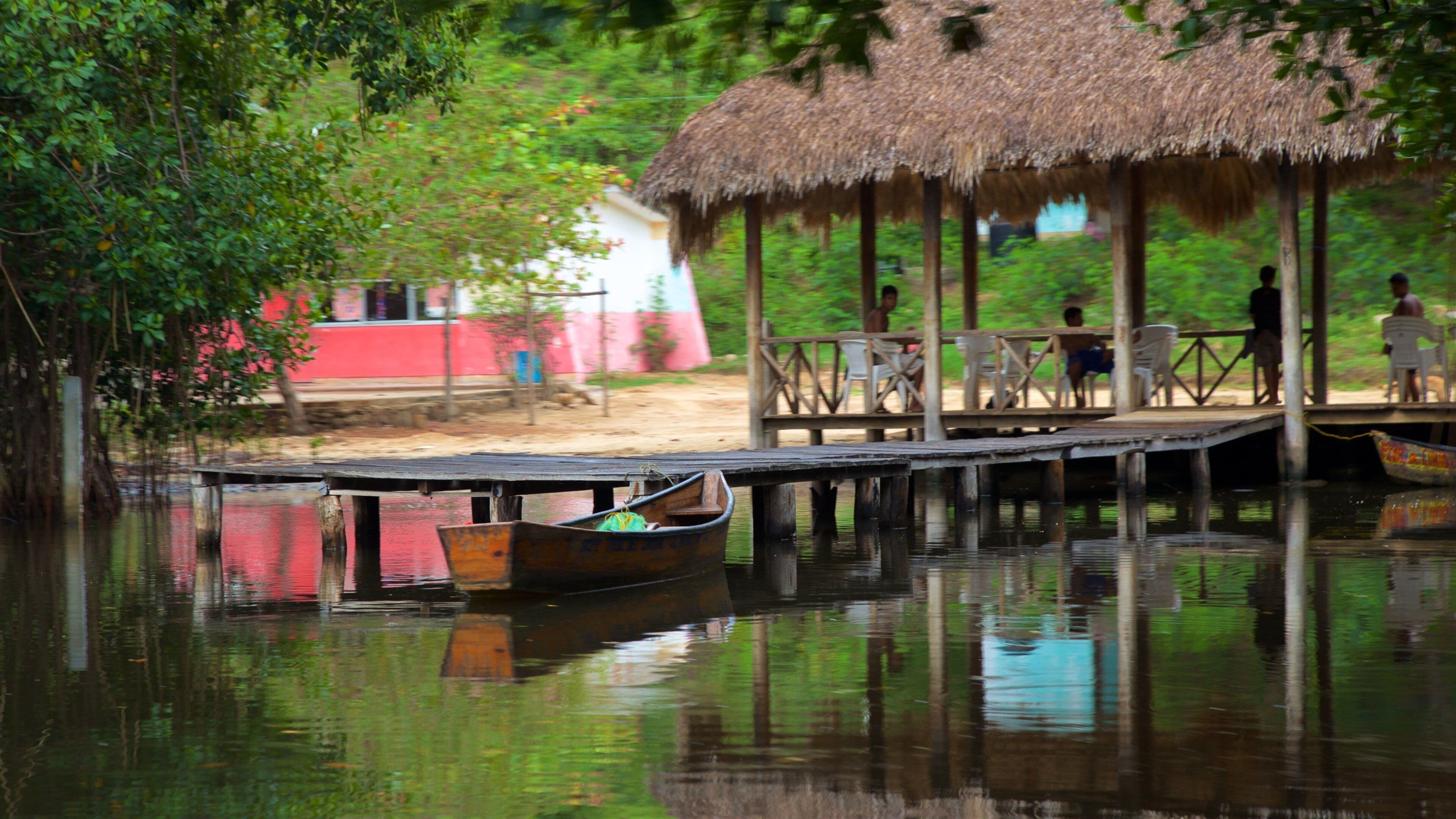 Parque Nacional Lagunas de Chacahua bevat een zandstrand en wetlands