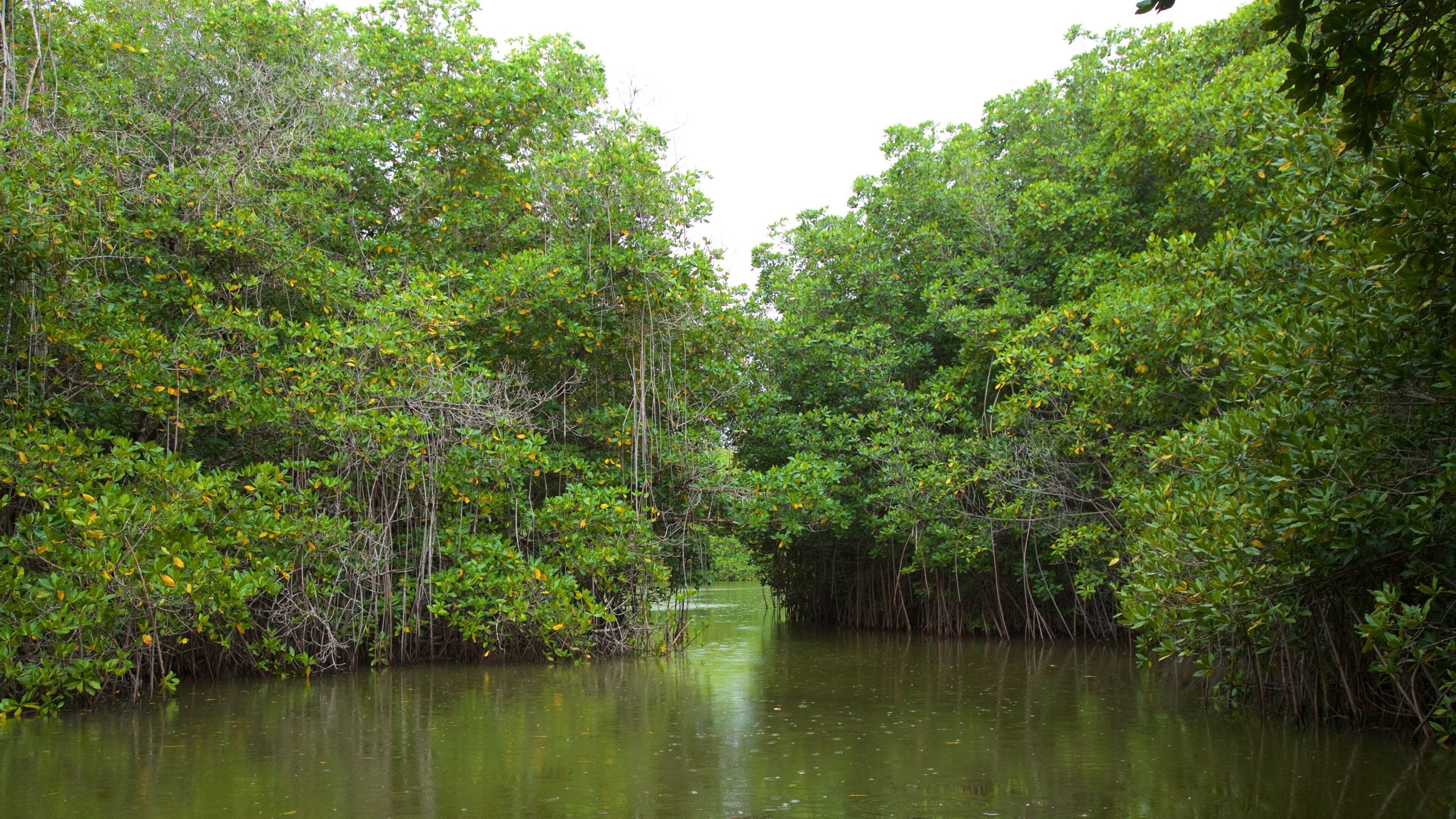 Chacahua Lagoon National Park which includes wetlands