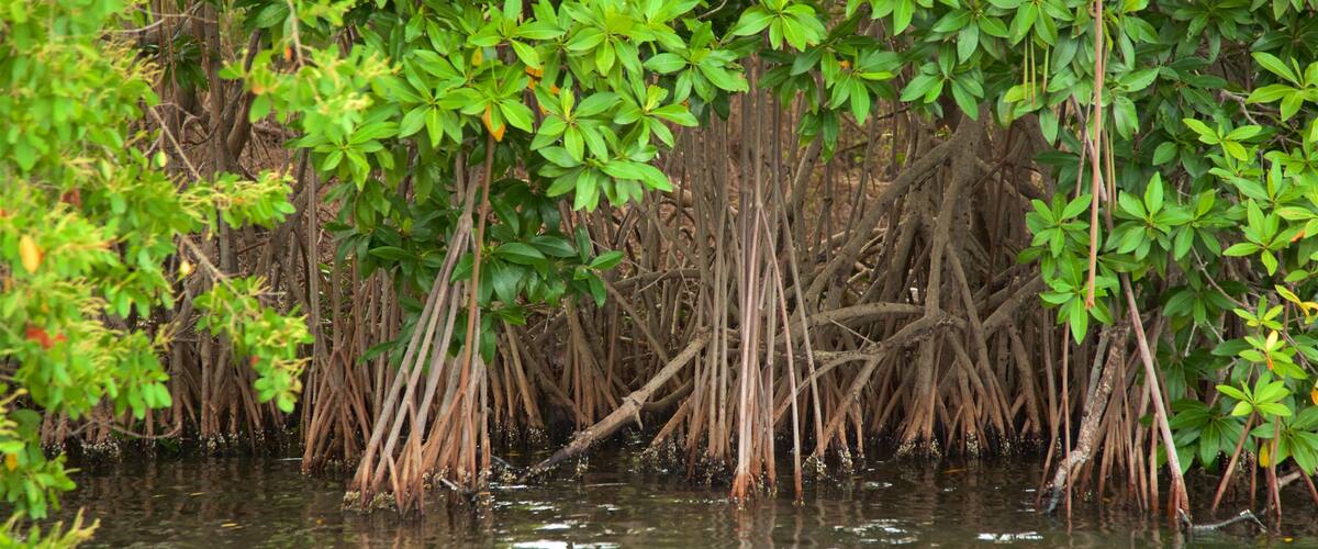 Nationalpark Lagunas de Chacahua