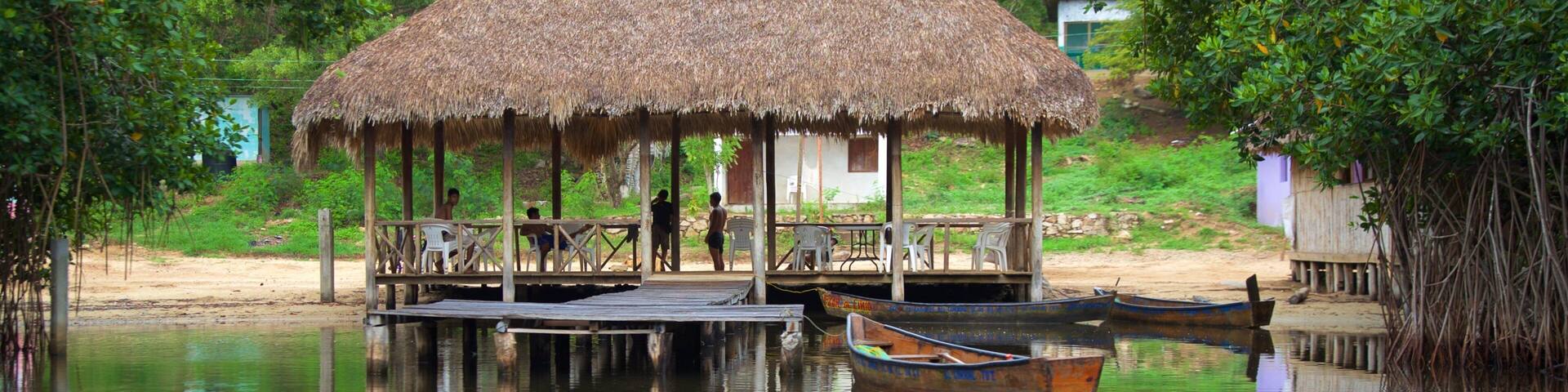 Chacahua Lagoon National Park showing wetlands and a sandy beach