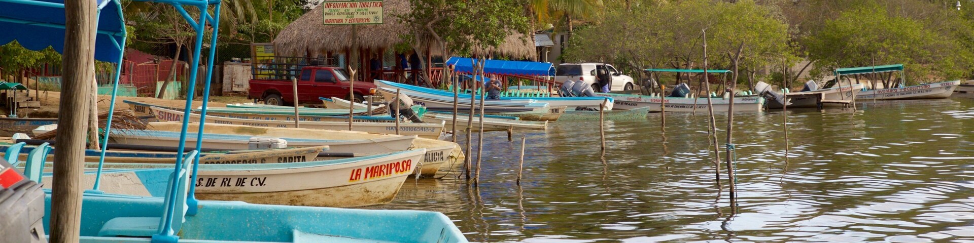 Chacahua Lagoon National Park which includes tropical scenes and a bay or harbor