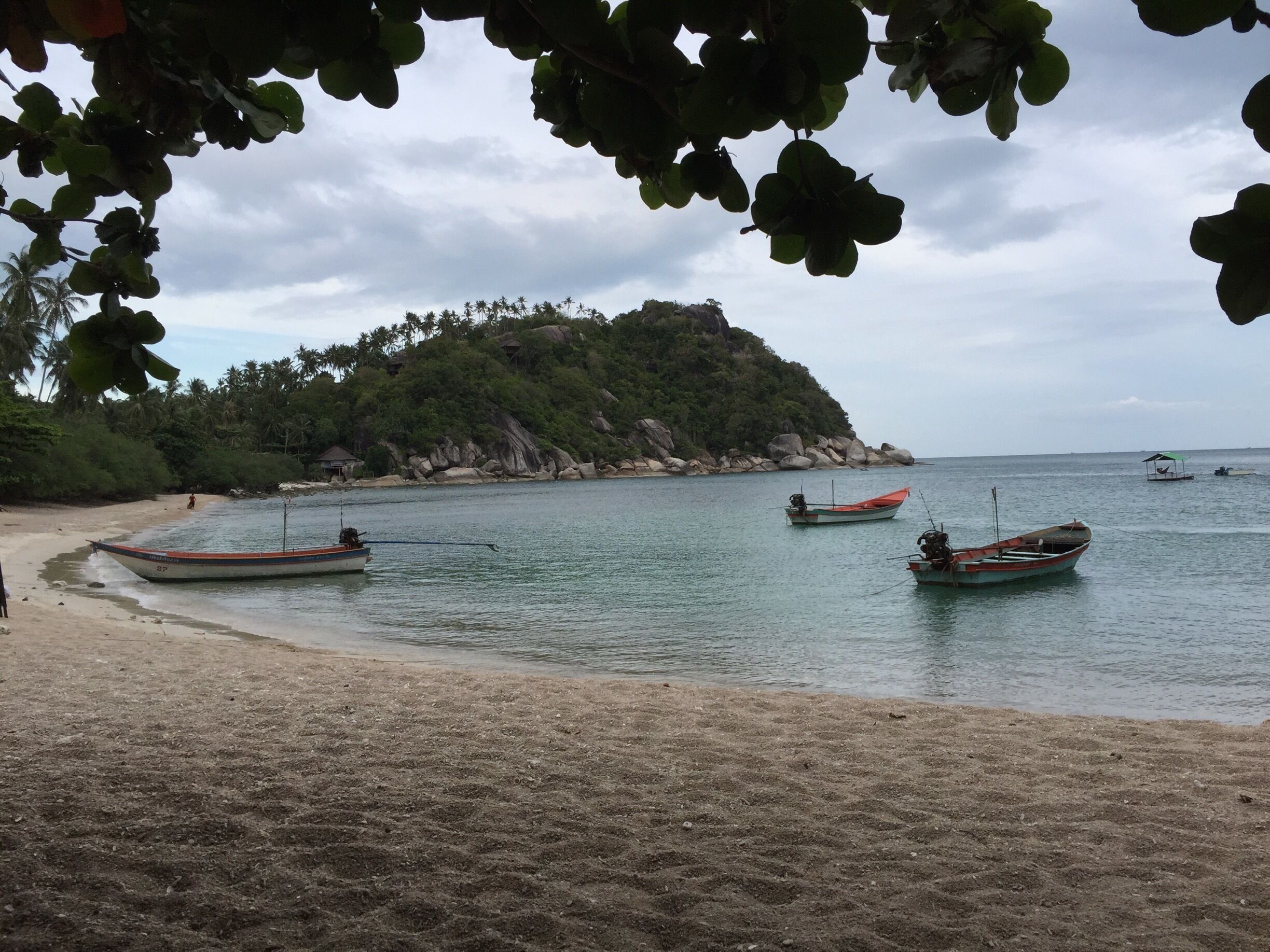 View from the restaurant