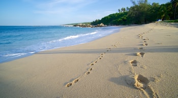 Plage playa Bacocho montrant plage