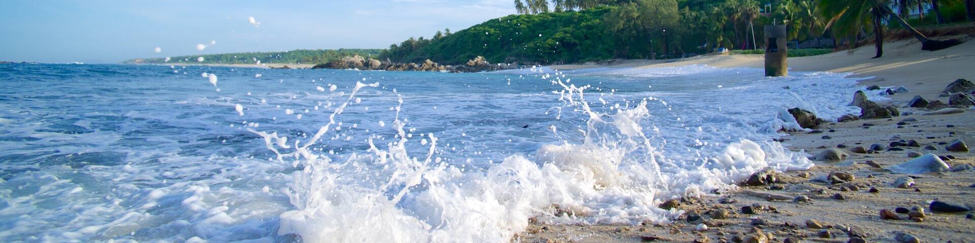 Bacocho Beach showing a beach