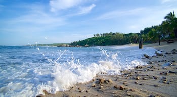 Bacocho Beach showing a beach