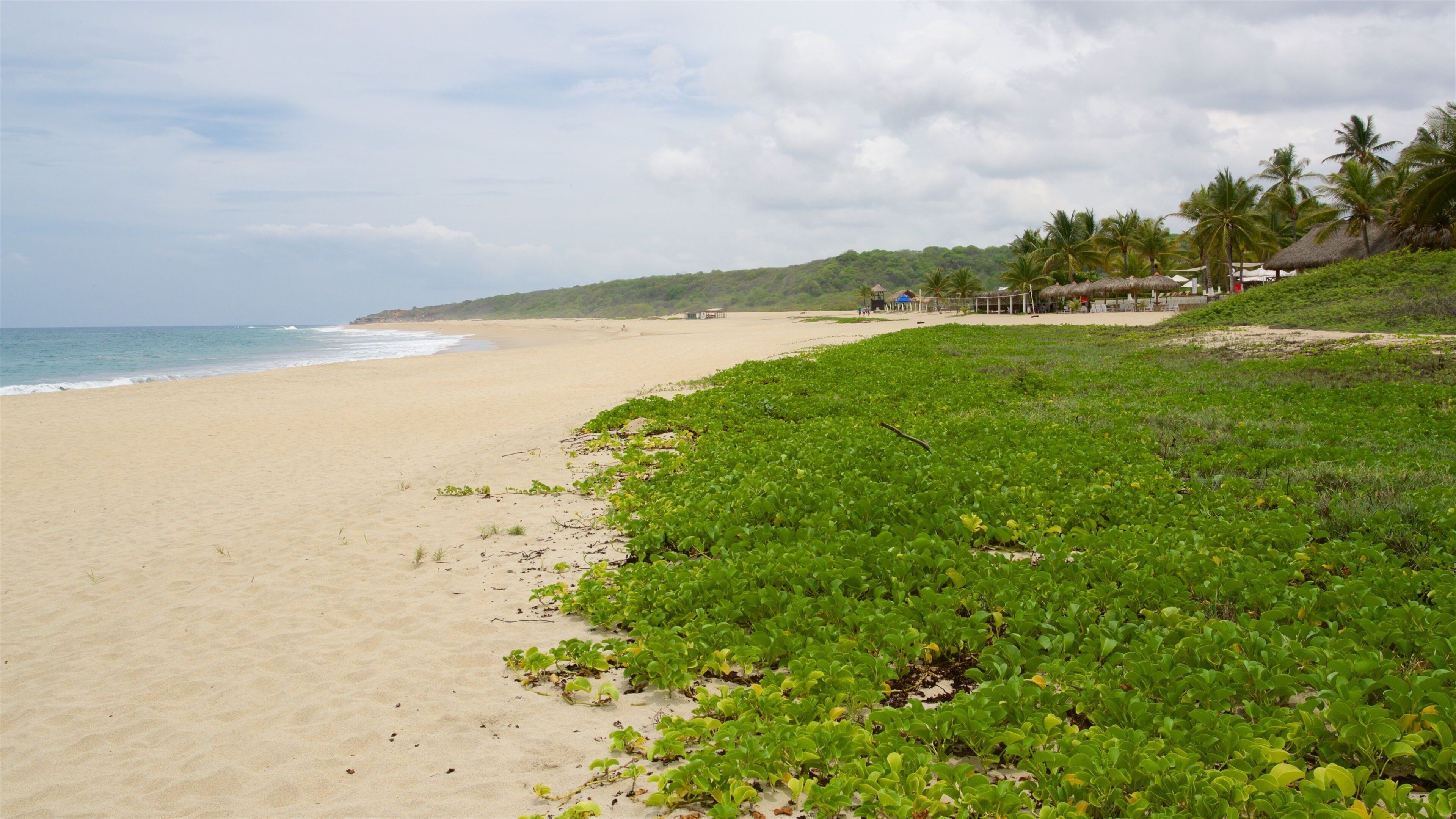 Une plage bordée d’une végétation verdoyante, de palmiers et, au fond, une construction à toit de chaume.