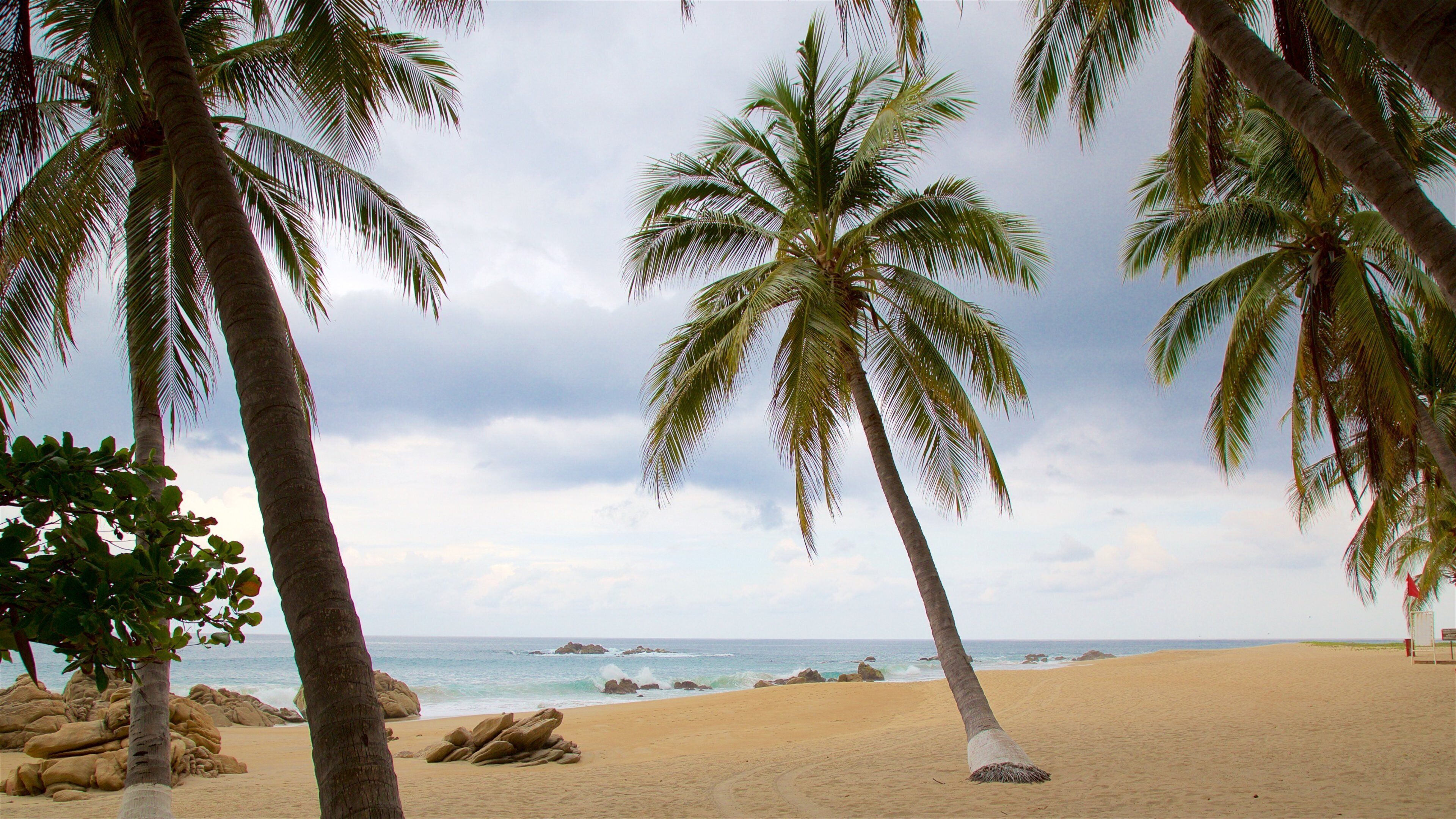 A beach with palm trees and a rocky shoreline.