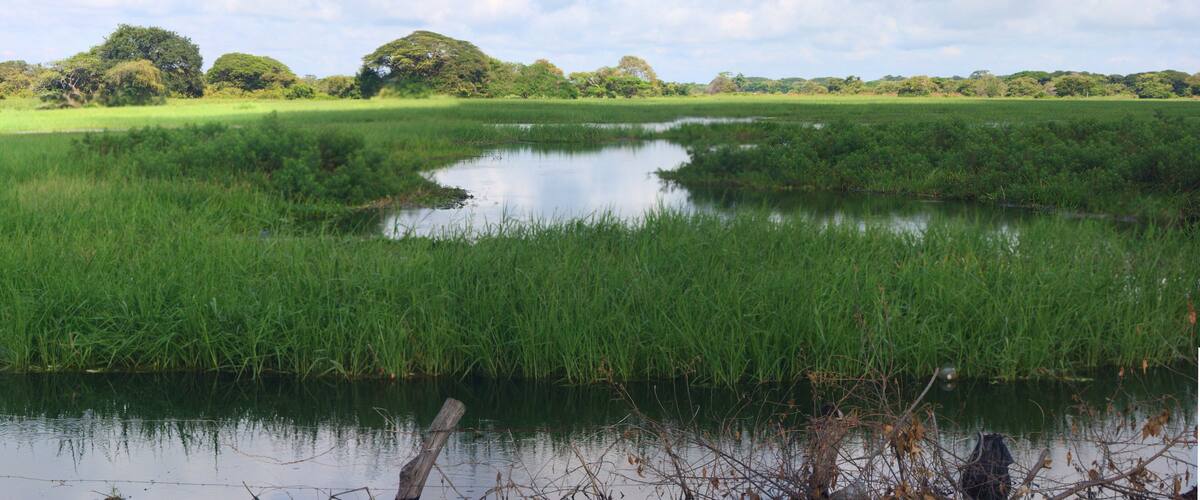 Esteros de Camaguán