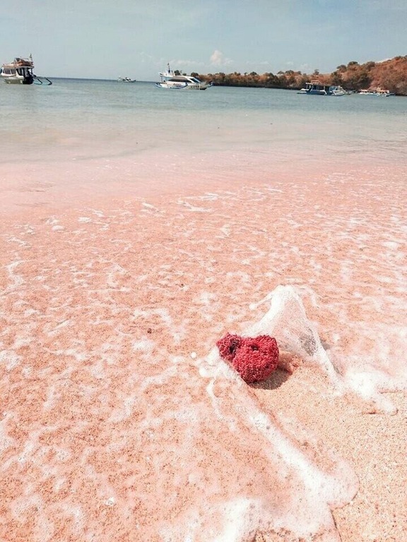🇮🇩 #indonesia #lombok #pinkbeach #desasekotong 💕🌊Enjoy this beautiful picture from one of the ten most famous pink beaches in the whole world! Need patience to get there but you ll be rewarded! ☉😉Extra hint: look around the hills... maybe there is more pink for your eyes to see! NonstopTravellers