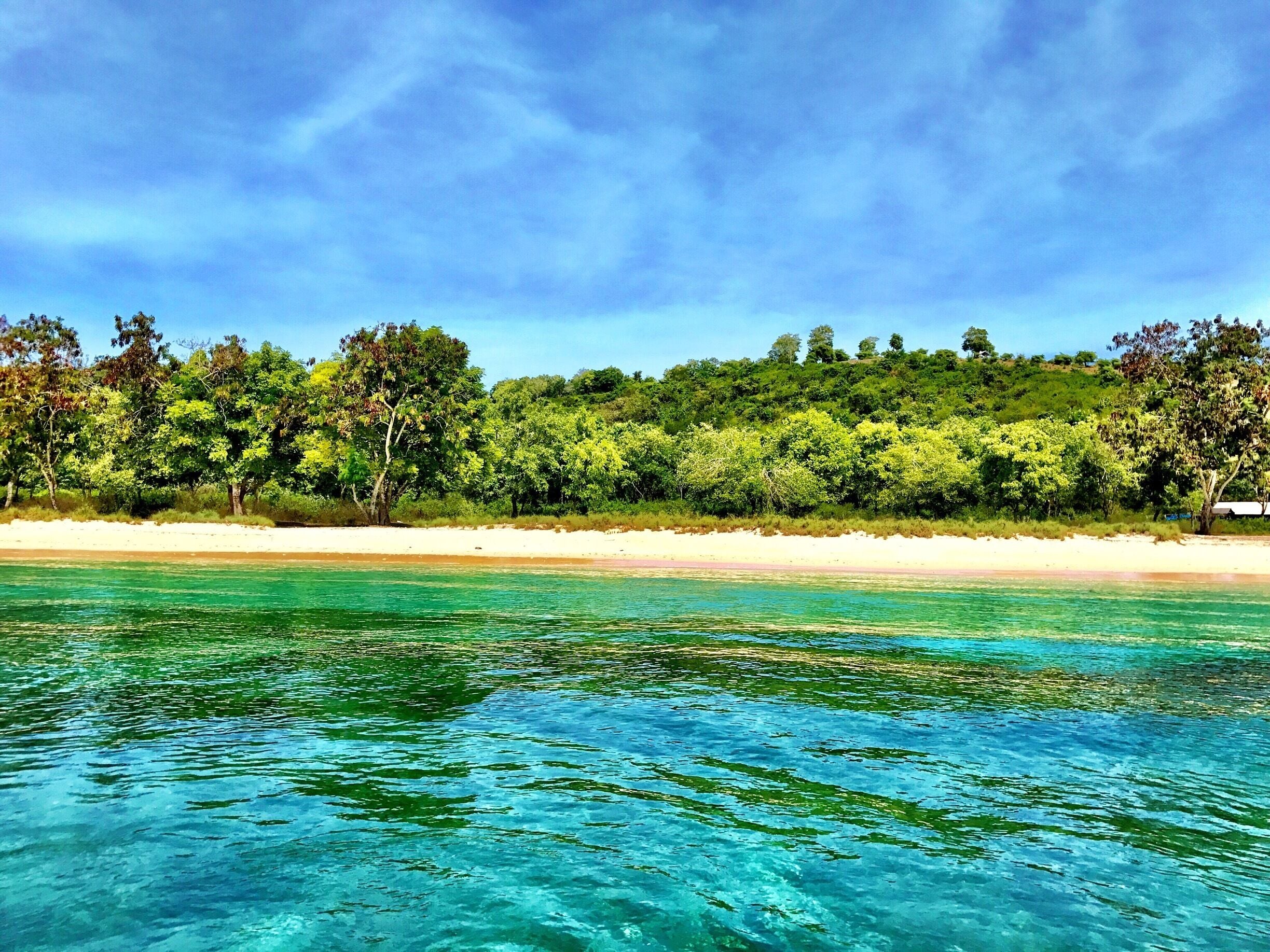 The beach is calling!
Pink beach 💕
#Beach
#Indonesia
#AquaTrove