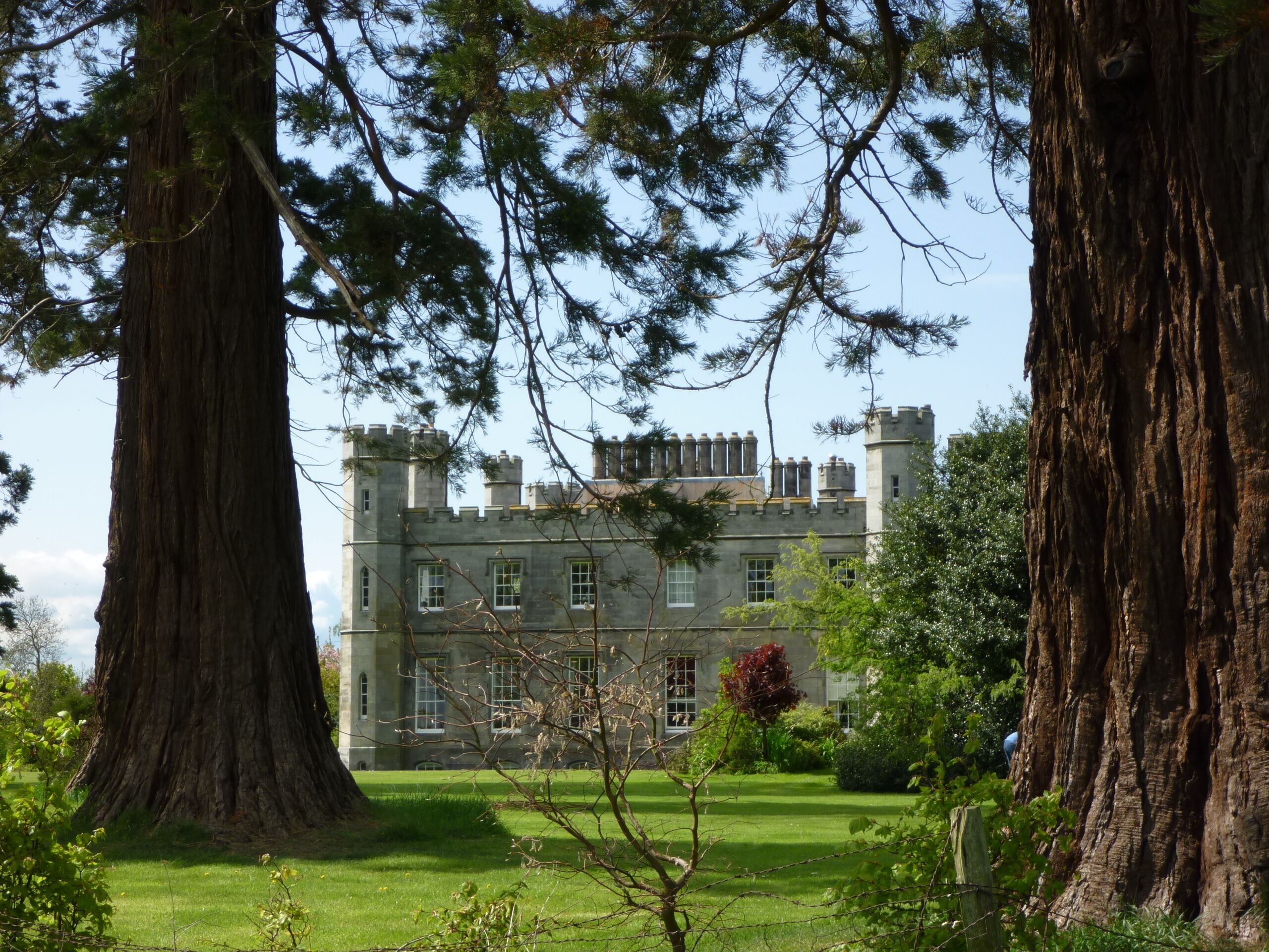 A large tree in the foreground, a castle in the background, and a clear blue sky.