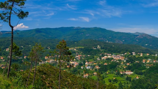 Alpine panoramic view with the Urbe village in Liguria, Italy