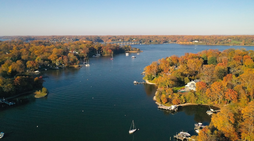 Aerial view of colorful sailboat moorings, docks, and bright golden foliage on Weems Creek, in historic downtown Annapolis Maryland on a fall day