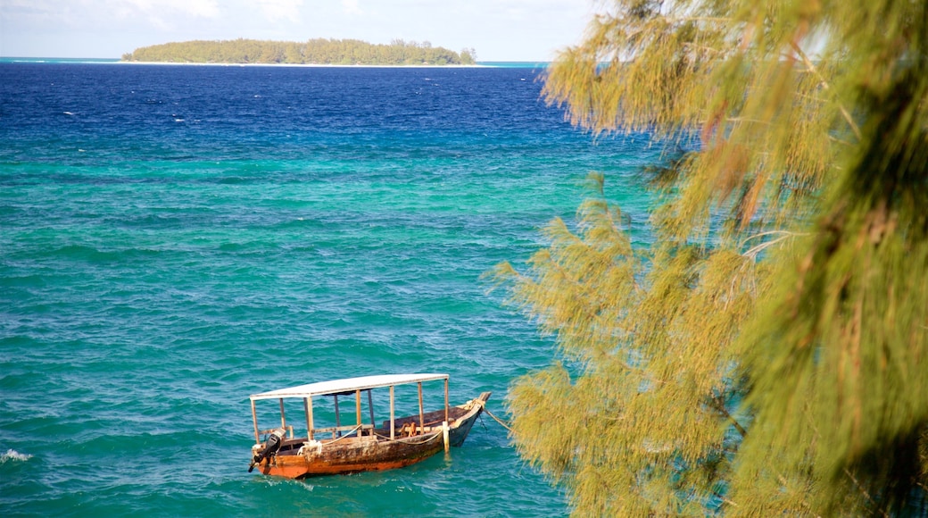 Mnemba Island which includes general coastal views, tropical scenes and island views