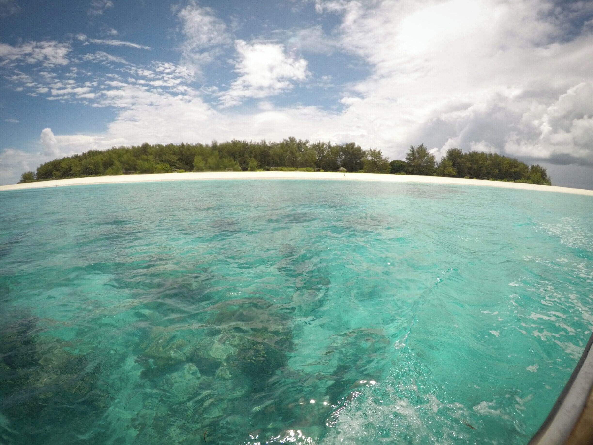 Mnemba Atoll, notorious for the best snorkelling of my life (so far). Excellent visibility and company (two young locals and their boat), colourful and courageous fish, impromptu swim with dolphins, and... well, the water is simply a dream.
#waterlust #blue