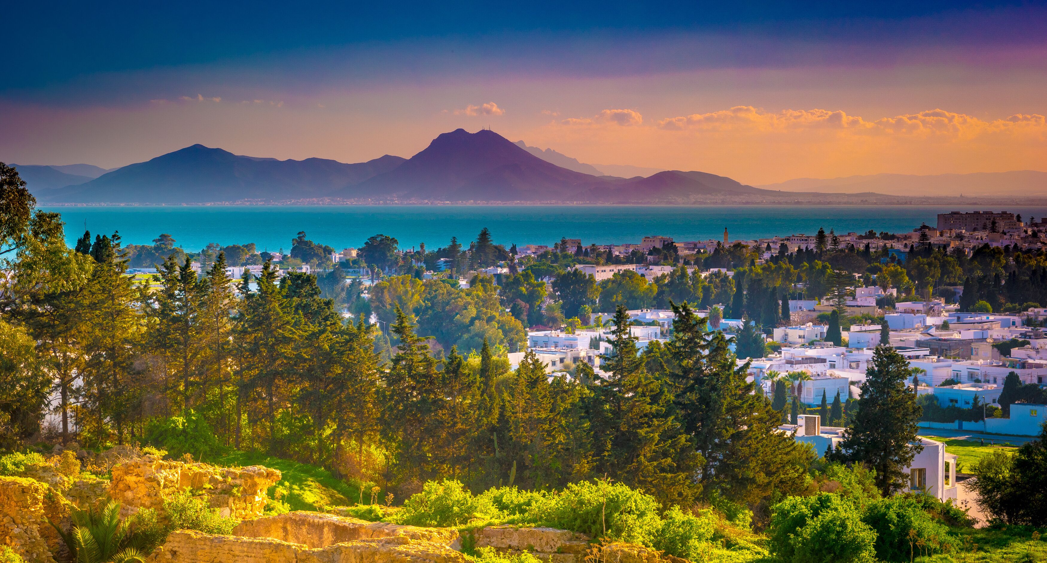 View from hill Byrsa with ancient remains of Carthage and landscape. Tunis, Tunisia.