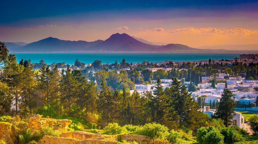 View from hill Byrsa with ancient remains of Carthage and landscape. Tunis, Tunisia.