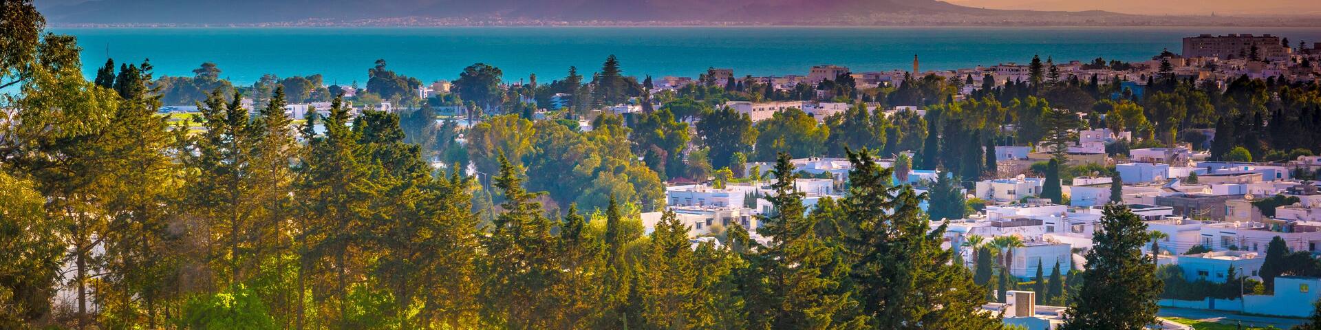 View from hill Byrsa with ancient remains of Carthage and landscape. Tunis, Tunisia.