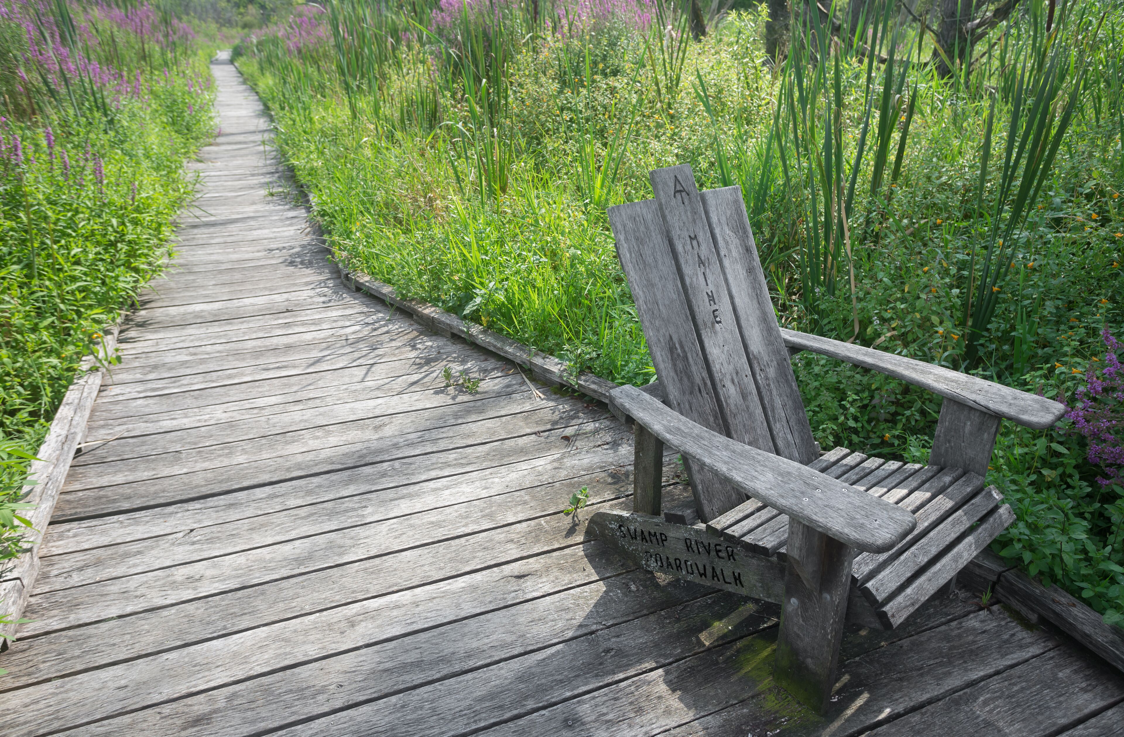 A wooden boardwalk with a wooden chair and a sign reading "Swamp River Boardwalk."