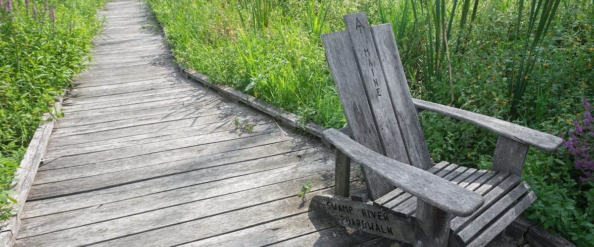 A wooden boardwalk with a wooden chair and a sign reading "Swamp River Boardwalk."