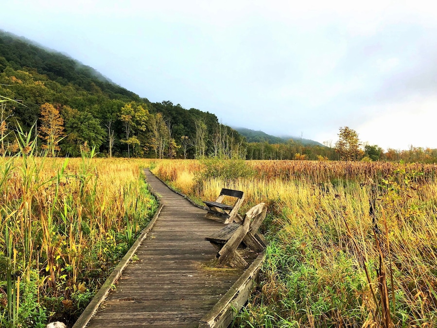 Appalachian Trail, NY