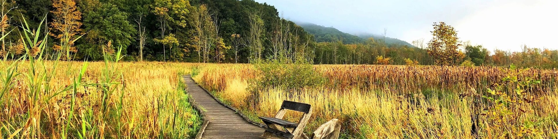Appalachian Trail, NY