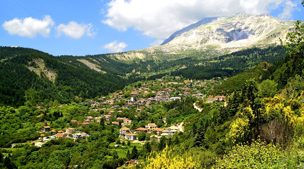 vourgareli artas - greek resort